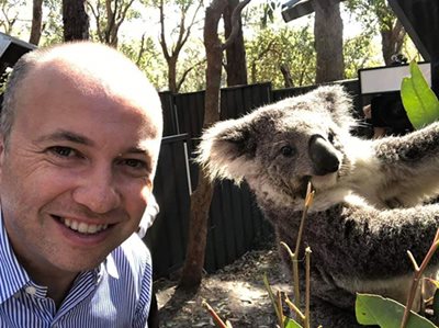 WILDLIFE AND CONSERVATION BUSHFIRE RECOVERY