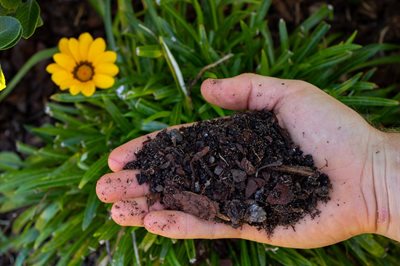 $46 million to revolutionise household food and garden waste