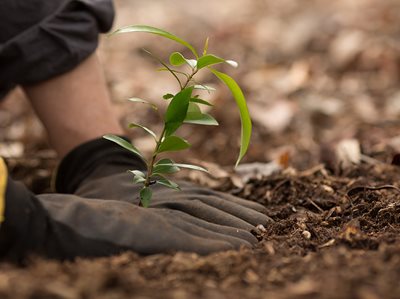 $3 MILLION COVID-19 STIMULUS FOR SCOUTS, GIRL GUIDES AND PCYC CLUBS