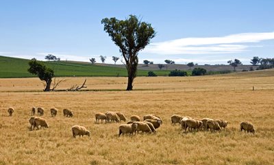 NEW TRANSPORT FUND TO HELP DROUGHT AFFECTED FARMERS