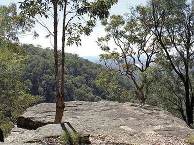 Caring for country in Western Sydney