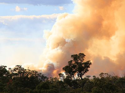 MENTAL HEALTH SUPPORT DURING BUSHFIRE CRISIS