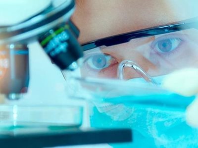 Trailblazer Universities to build jobs of the future
